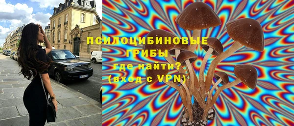 амфетамин Алексин