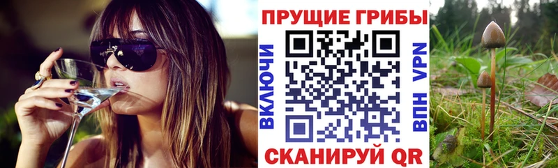 даркнет сайт Циолковский Псилоцибиновые грибы MAGIC MUSHROOMS
